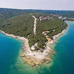 Amazing In Segotici
